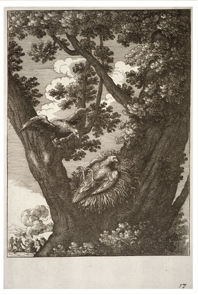 The Sick Kite and Its Mother by Wenceslaus Hollar